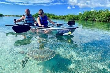 Clear kayak floating over a stingray in shallow water